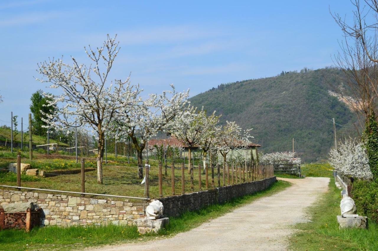 Cascina Valsorda Bed and Breakfast Concesio Zewnętrze zdjęcie
